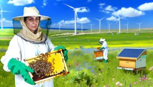 benefits of sustainable beekeeping